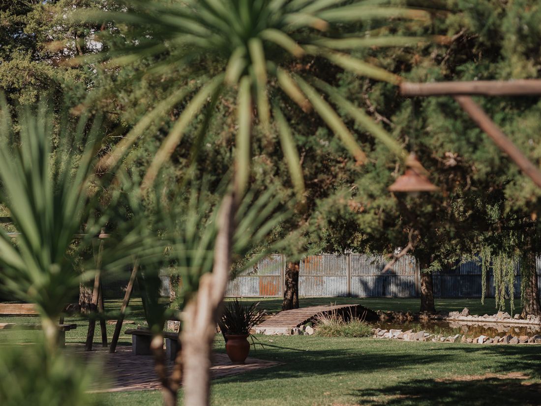La vegetación del parque en primer plano, con el jardín abriéndose detrás