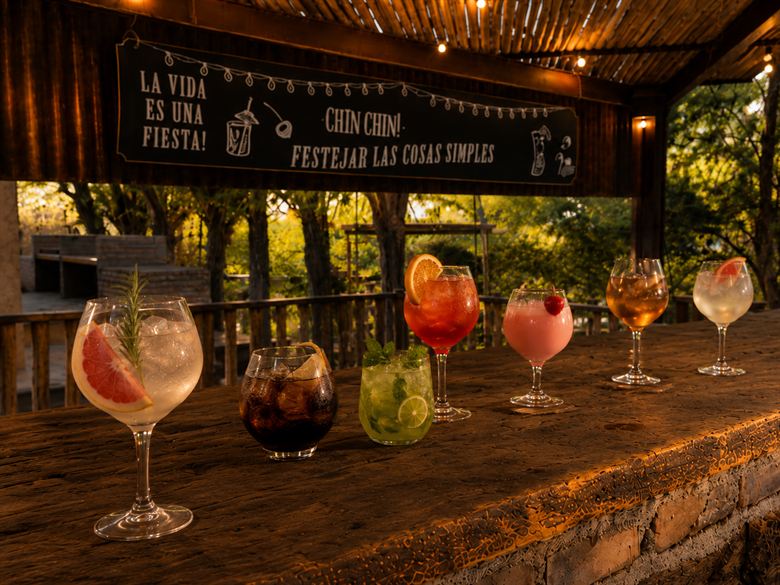 Siete tragos distintos ya servidos sobre la tapa de madera de la barra, al atardecer