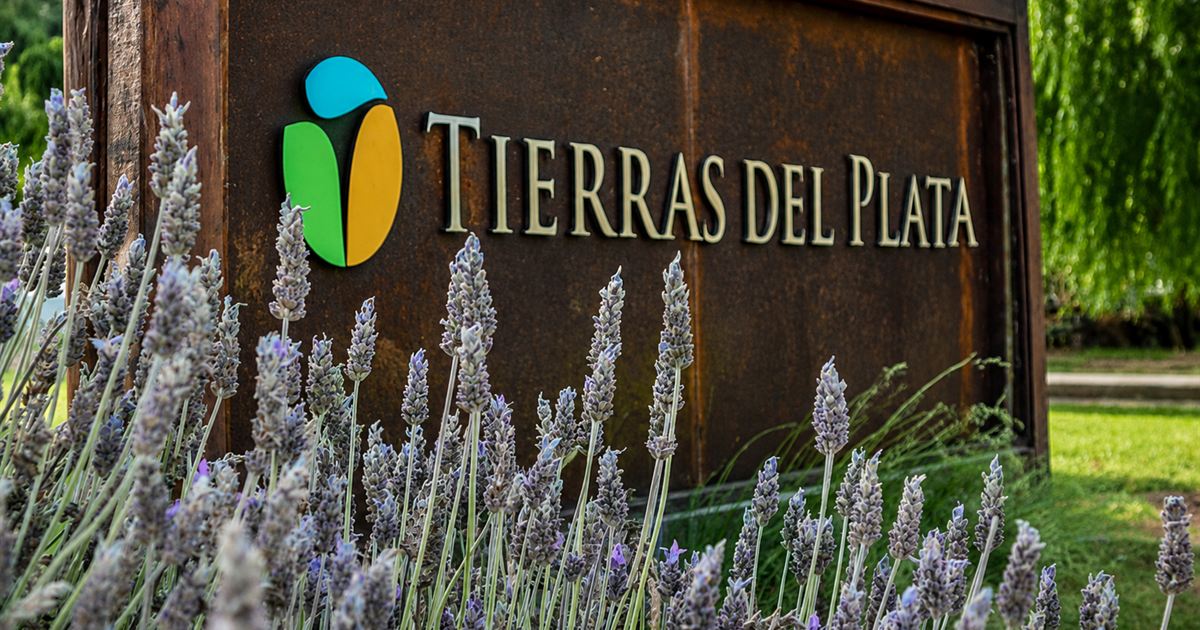 Tierras del Plata — wedding